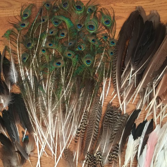 LOT 140 NATURAL PEACOCK BIRD FEATHER BOHO FESTIVAL CRAFT ART HOBBY COSTUME DECOR - Picture 2 of 16